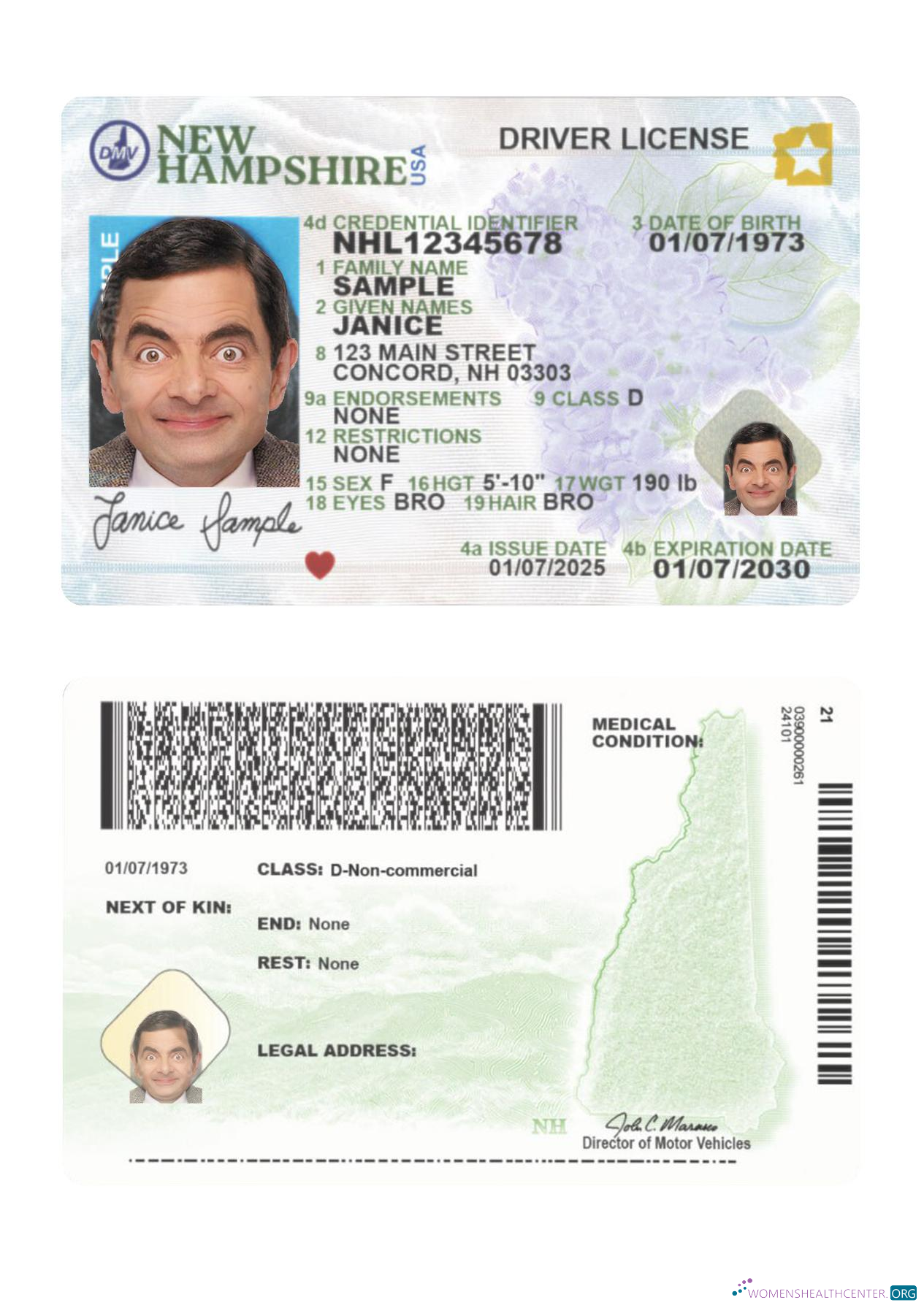 download USA New Hampshire driving license 2025 present